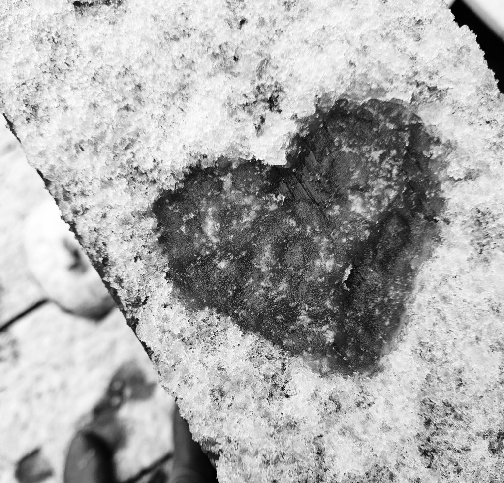 A Poem For&nbsp;Depression